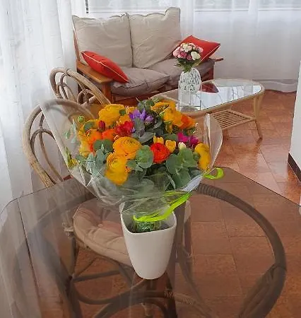 Entier Au Dessus De Villa, Climatisation Reversible Poele A Bois Tres Chaleureux , Wi Fi Parking Privee Gratuit Situation 500 M, Et Centre Apartmán Sanary-sur-Mer